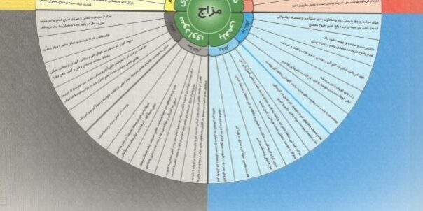 کتاب الگوی تشخیص مزاج