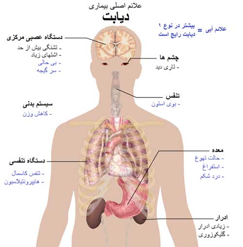 دیابت یا بیماری قند خون و درمان آن با طب سنتی