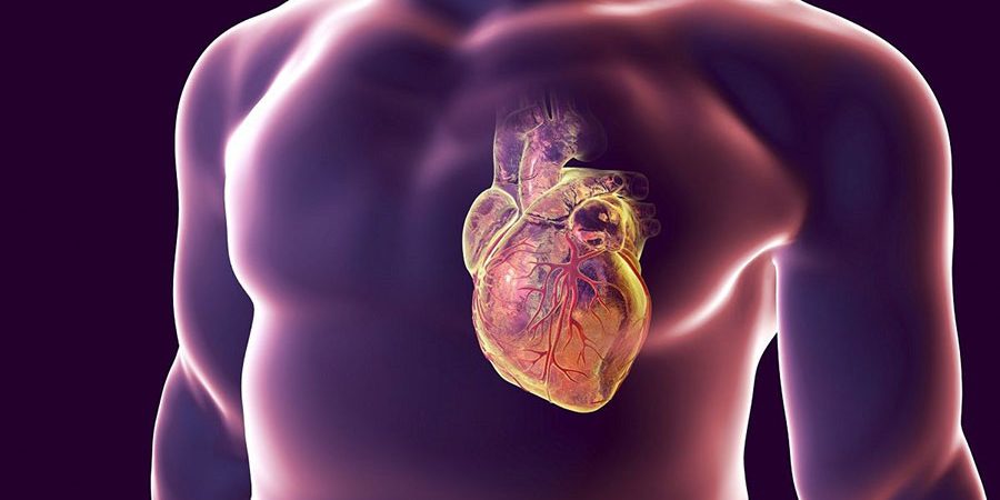 درمان تپش قلب - خفقان با طب سنتی